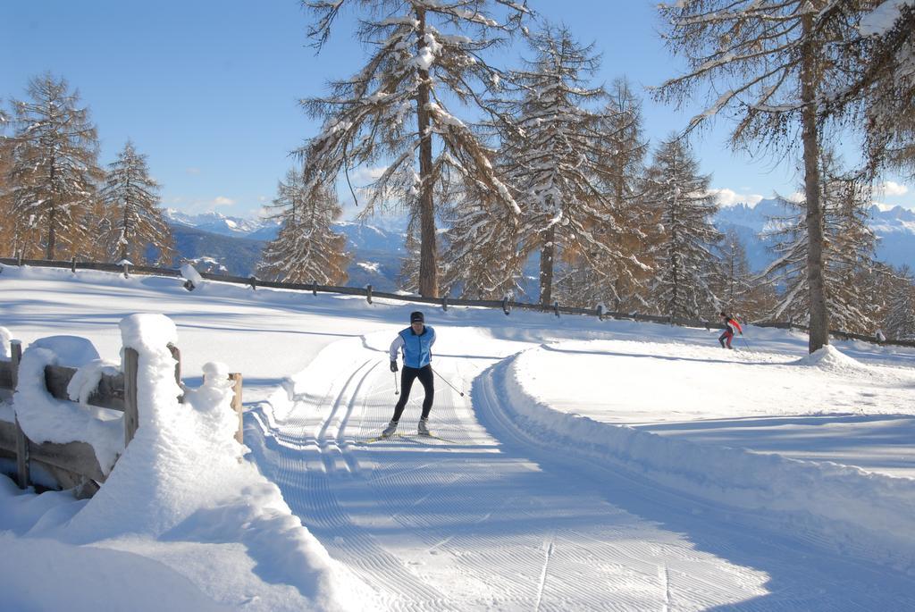 Tschoegglbergerhof San Genesio Atesino Esterno foto