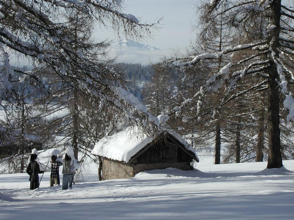 Tschoegglbergerhof San Genesio Atesino Esterno foto
