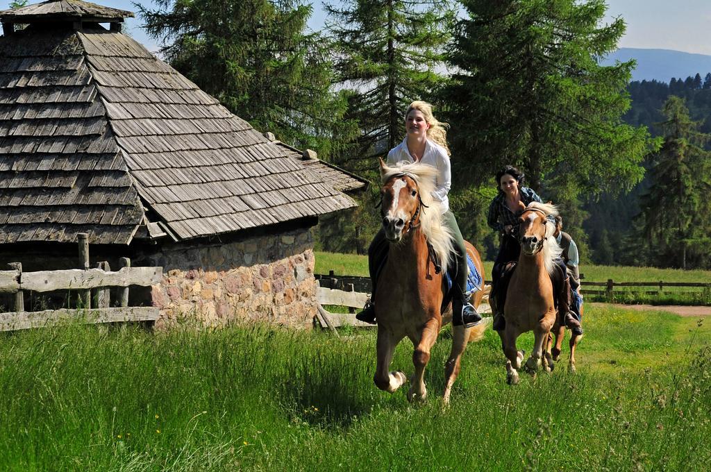 Tschoegglbergerhof San Genesio Atesino Esterno foto