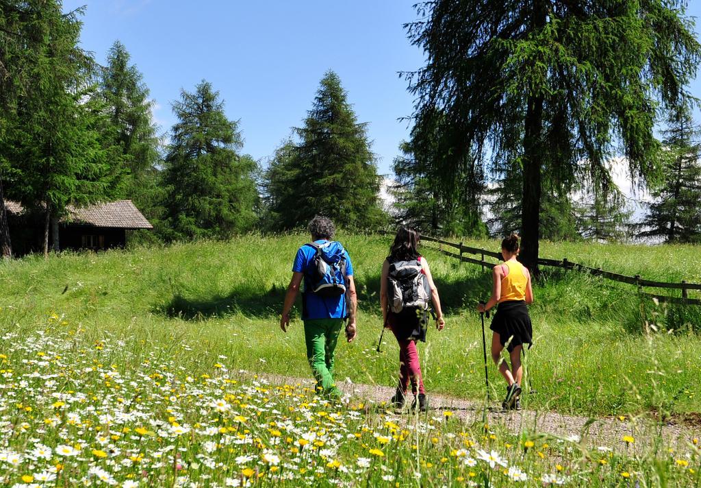 Tschoegglbergerhof San Genesio Atesino Esterno foto