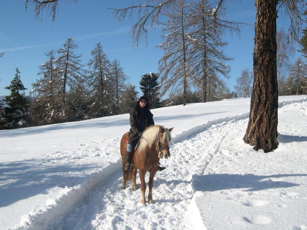 Tschoegglbergerhof San Genesio Atesino Esterno foto