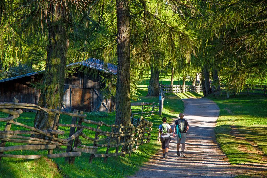 Tschoegglbergerhof San Genesio Atesino Esterno foto