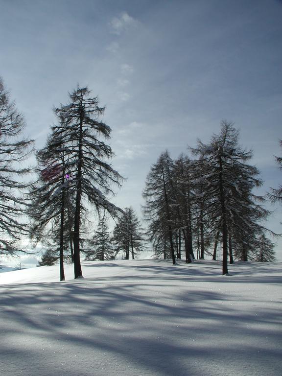 Tschoegglbergerhof San Genesio Atesino Esterno foto